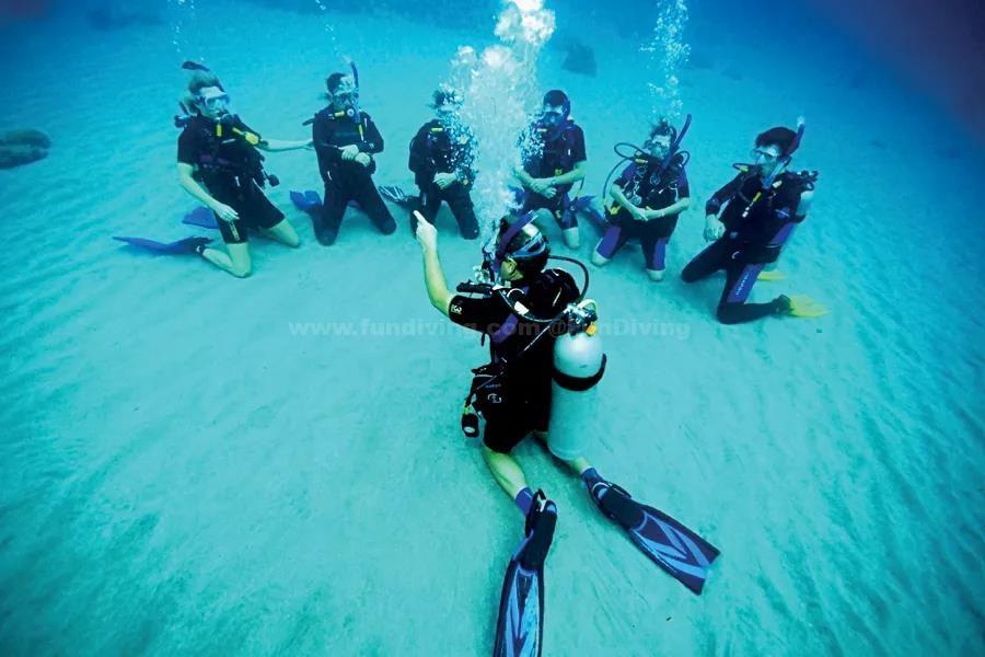 乖宝宠物:海外ODM业务快速恢复,盈利能力进一步提升